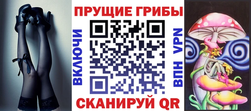 закладка Юрюзань Псилоцибиновые грибы Psilocybe